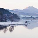 snowdonian wonder