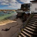 Harbour View