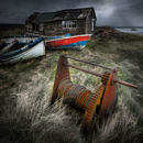 Out To Pasture