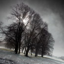 Winter Light