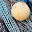 Ropes at Sennen Cove