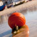 Low Tide In The Harbour