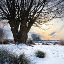 Winter On Doxey Marshes