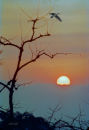 Sunset on the Japan Sea