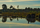 Lake Horowhenua0032