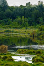 Papaitonga Wetland Reserve 0318