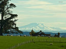 Another view of Mt Ruapehu from Nikaunui