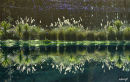 Waterstone Lake, Paraparaumu.