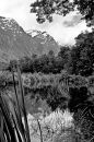 Flax & the Remarkables, Central Otago