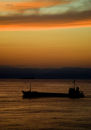 freighter649