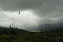 Storm brewing over the Tararua range