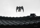 Hawk over a Temple roof in Wajima City, 2006