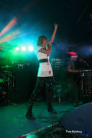 Doll's House Live