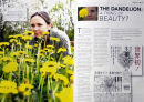 Artist, Rebecca Chesney. 'Live Preston' magazine. June 2011.