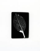 One Leaf.