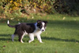 Radcliffe's first time outside after her jabs