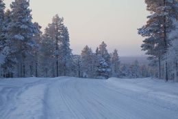 Finnish Lapland Road scene