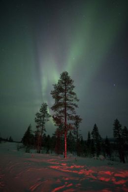 Northern Lights