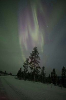 Northern Lights