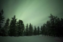 Northern Lights