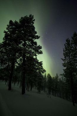 Northern Lights