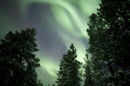Northern Lights
