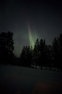 Northern Lights