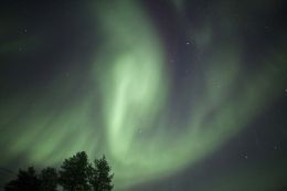 Northern Lights