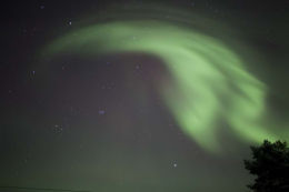 Northern Lights