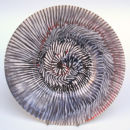 Spiral arm plate. 32cm.