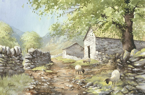 Peter Wooley