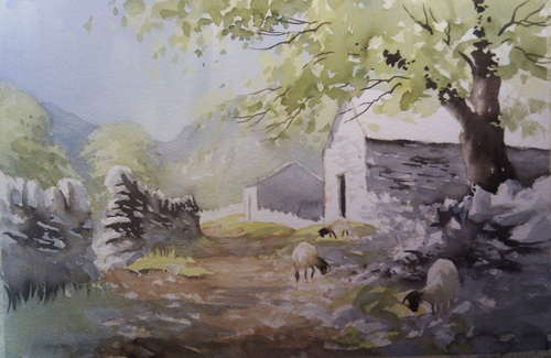 Peter Wooley