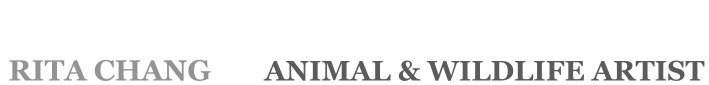 Rita Chang - Animal & Wildlife Artist