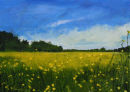 Buttercup Meadow (SOLD)