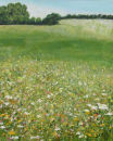 Looking across the Meadow SOLD