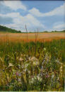 Meadow (SOLD)