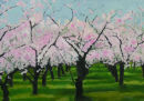 Cherry Blossom Orchard (SOLD)