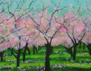 Cherry Orchard