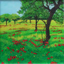 Summer Poppies