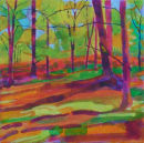 Colours of the Forest