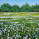 Daisy Meadow Daze