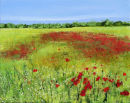Poppy Meadow Haze SOLD