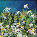 Among the Dancing Daisies SOLD