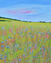 Cornflower Time