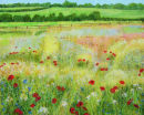 Where the Wildflowers Grow SOLD