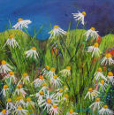 Among the Dancing Daisies again SOLD