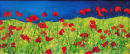 Wind in the Poppies