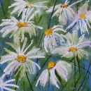 Shasta Daisies (SOLD)
