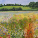 Wild Flowers at Leominster (SOLD)