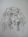 Commission - Benji 2011